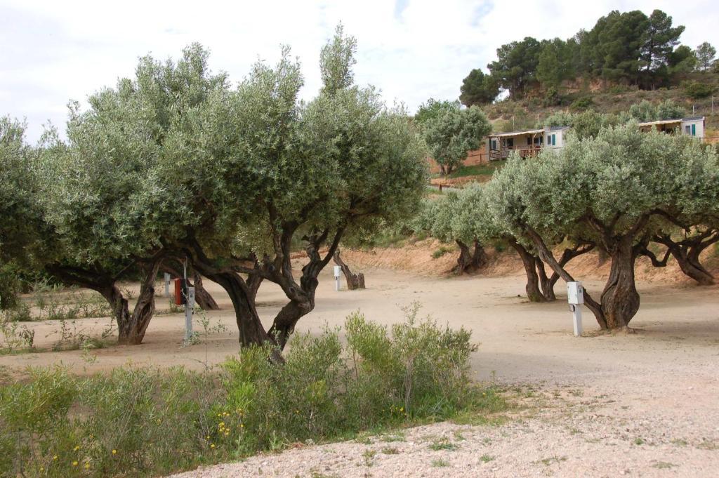 Càmping Terra Alta Bot Esterno foto