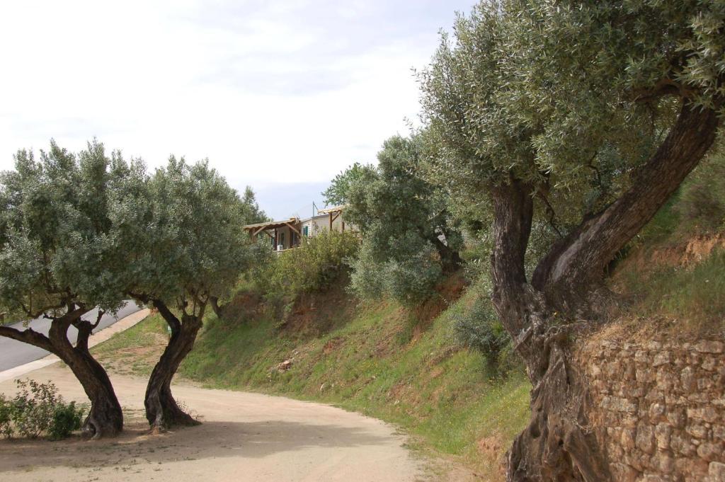 Càmping Terra Alta Bot Esterno foto