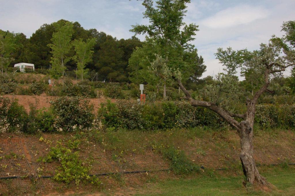 Càmping Terra Alta Bot Esterno foto